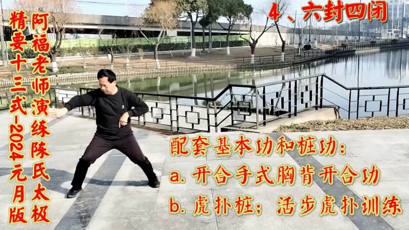 《陈式太极拳传统精要十三式》完整版——阿福老师亲授演练全解析