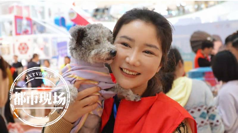 杭州，流浪動物領養，微博傳遞溫煖行動