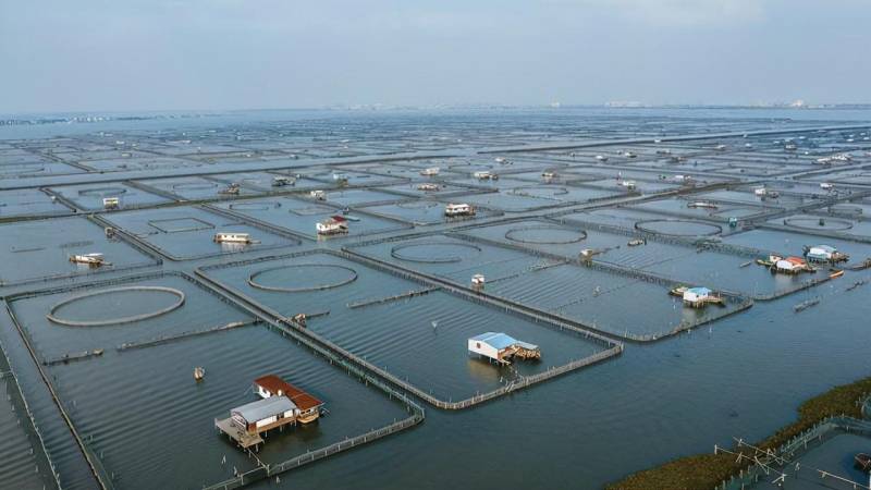 阳澄湖位于江苏省苏州市,因水质清澈、生态环境优良,所产的大闸蟹品质上乘,备受消费者喜爱,价格也相对较高。
