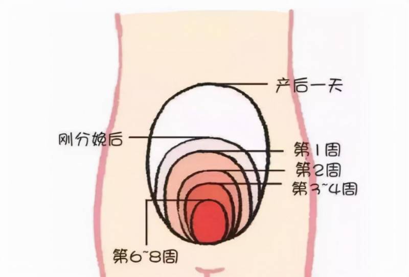 讲真，生完宝宝后她的状态变差，与朱珠坐月子后神采飞扬对比鲜明