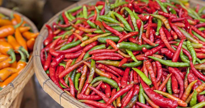 世界上最辣的辣椒有多辣？辣到极致的辣椒品种盘点