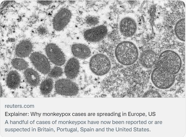 欧美多国出现猴痘疫情，卫生部门密切关注