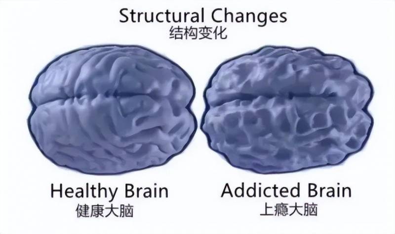 你并不懂我MV，孩子的心声，家长值得一听的答案