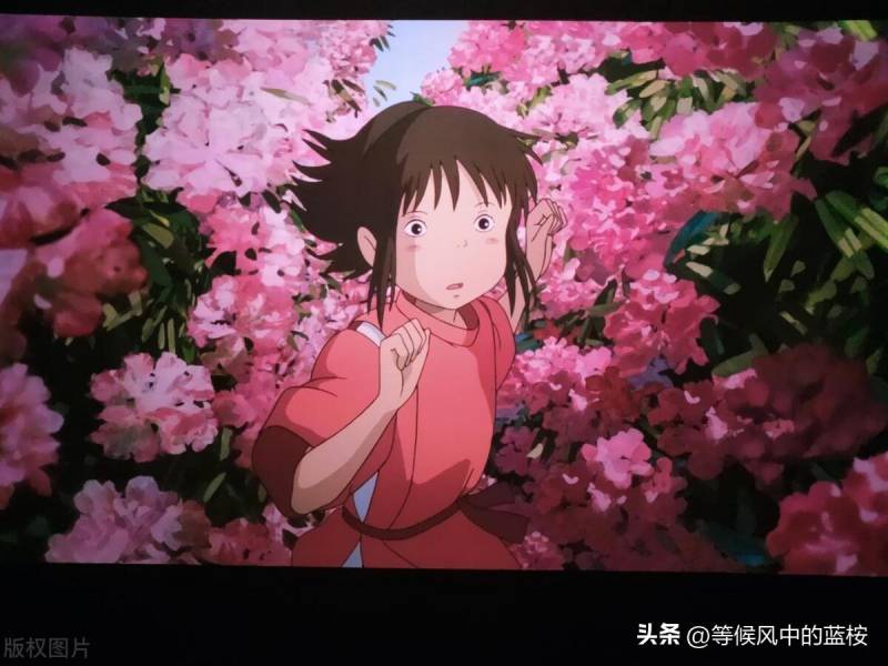 《千与千寻》，宫崎骏笔下的成长寓言，跨越年龄的心灵共鸣与启示