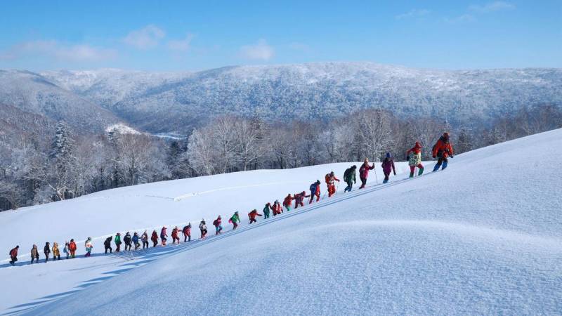 釋放冰雪文旅潛能！推動特色研學助力高質量發展