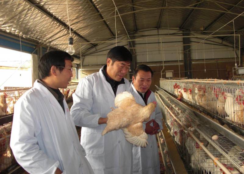 河南新晋院士康相涛，荣誉与责任并重，为农业科技贡献力量