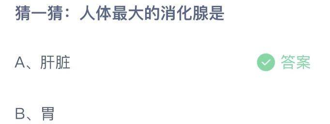 人体最大消化腺是肝脏，功能、位置及健康提示