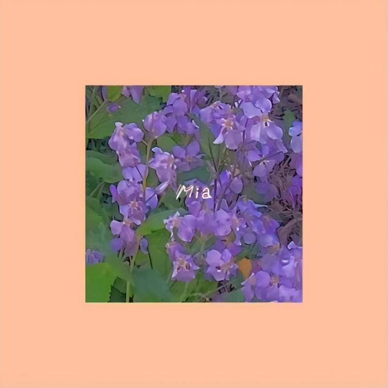 《Mia》，00后唱作人凡清展现超强共情能力，今夏首支单曲已上线！