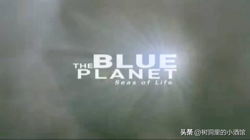 紀錄片《藍色星球》第一季01，深海奇觀