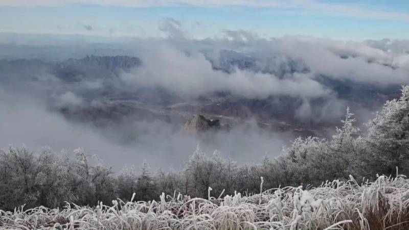 【美丽河北】承德兴隆雾灵山万树‘春花’盛开迎客来