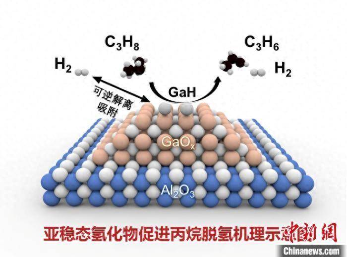 天津大学研究丙烷脱氢制丙烯助力增产提效