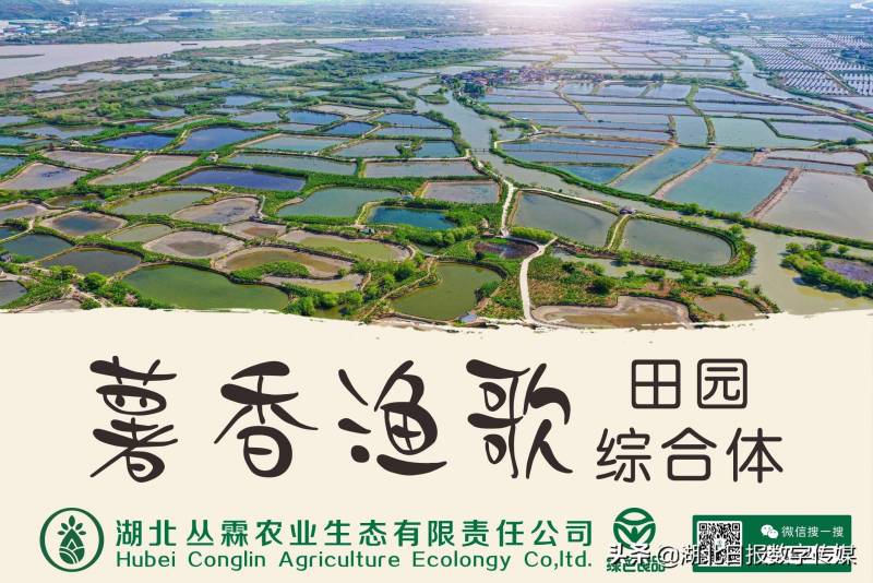 武汉市文化和旅游局微博荣登2021年12月湖北政务微博前三甲