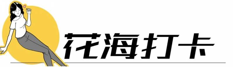 深圳玩的地方有哪些啊？周末去这10个地方吧！