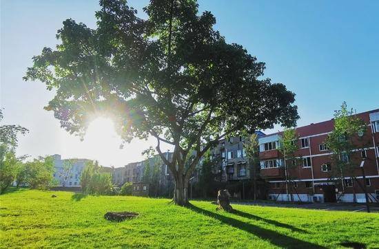 四川师范大学东区上东学校招生启动，名优教师待遇优渥