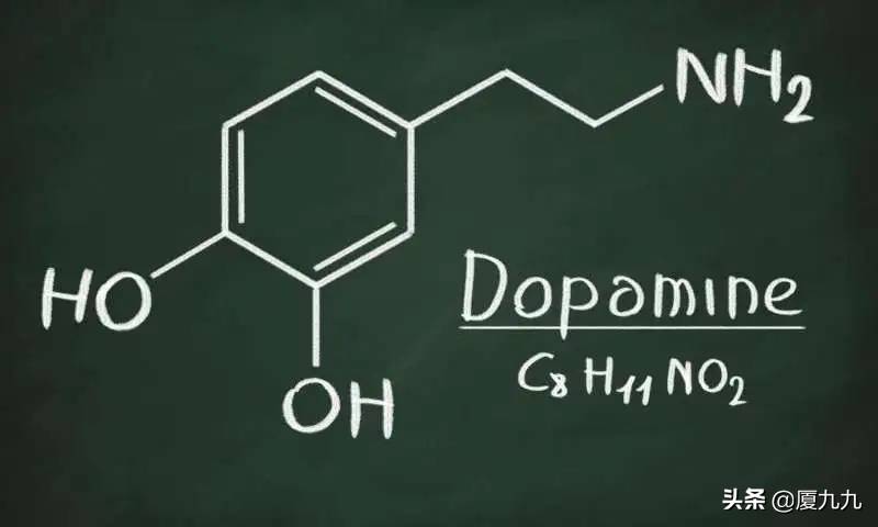 多巴胺和内啡肽的区别，深入理解，拥抱自律人生