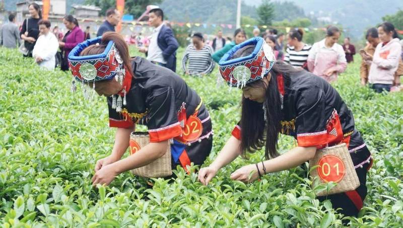 60万外地人夏天常住这里 利川的22℃夏天都有哪些魅力？