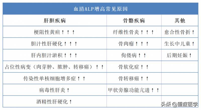 血清碱性磷酸酶升高的机制及来源鉴别，4大类病因一表总结