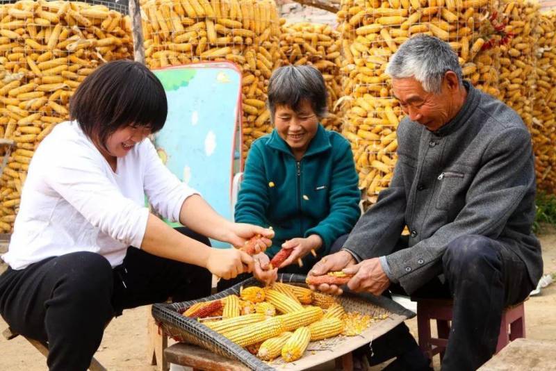 李瑞雪，女版洪金宝，武术界的一颗新星