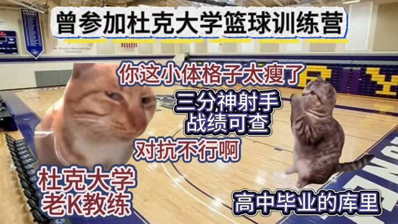 小球王者斯蒂芬，庫裡如何用貓meme方式引領NBA新時代#nba