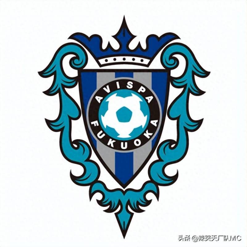 ’福冈黄蜂足球俱乐部的微博‘揭示了这支球队的点滴动态，2024赛季J1联赛球队的前世今生-7福冈黄蜂则深度剖析了这支球队的辉煌历史。