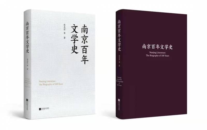 《南京大学张光芒教授领衔编纂南京文学史，跨世纪文学脉络与416位文豪的南京篇章》