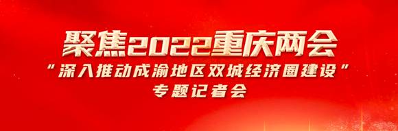 华龙网《两会会客厅》| 陈一清，大足区全力打造世界文化会客厅