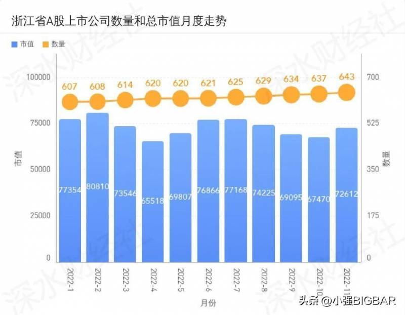 丽水上市公司市值排行榜，2023年一季度业绩扫描与分析