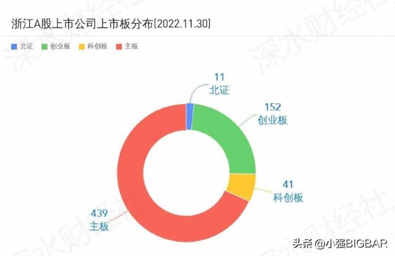 丽水上市公司市值排行榜，2023年一季度业绩扫描与分析