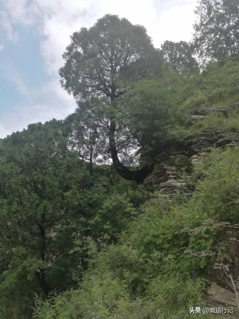 霞云岭金水湖景区，山水画卷中的宁静天地