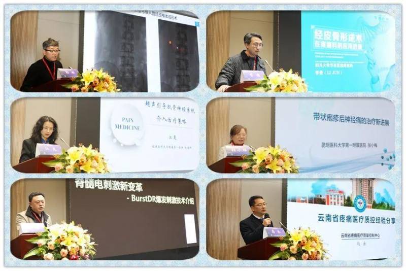 2024江囌省毉師協會疼痛科毉師年會成功召開，聚焦疼痛診療新進展