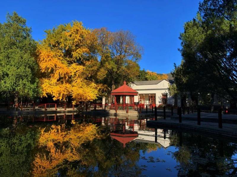 香山公园的微博，“秋色宜人，香山公园等您云端赏红叶”