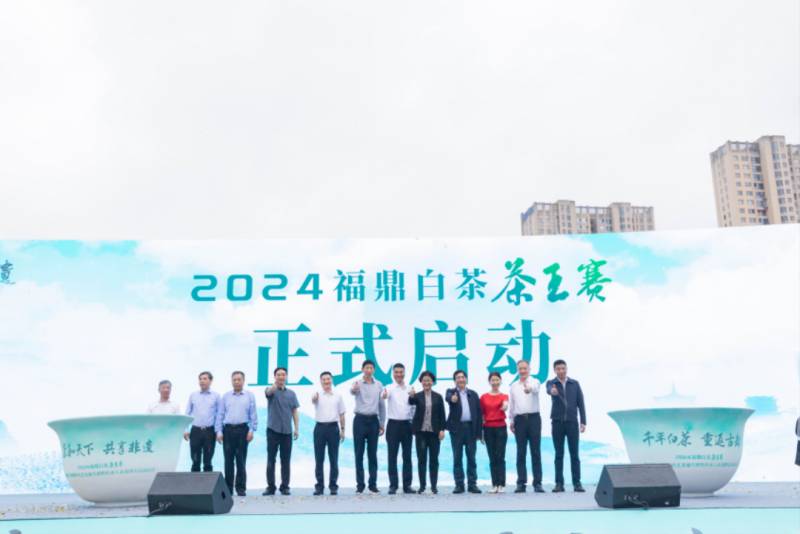 2024福鼎白茶茶王赛启动，百万网友云品鉴 非遗制作技艺将重返西安，完成千年之约