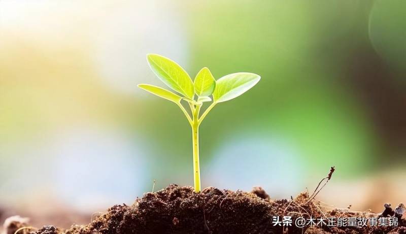 女孩是罕见的白女巫，50年代的莫斯科，我遇见了一位热爱自然的女子，了解后才发现她是