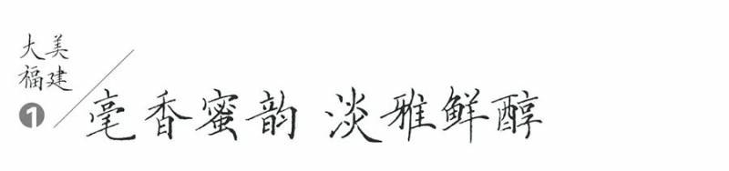 《福建非遗档案》秉承古法 揭秘茶艺传承之美