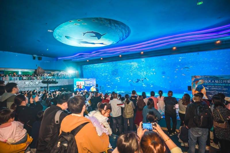 美人鱼2024，上海举办国际赛事，全球美人鱼齐聚一堂