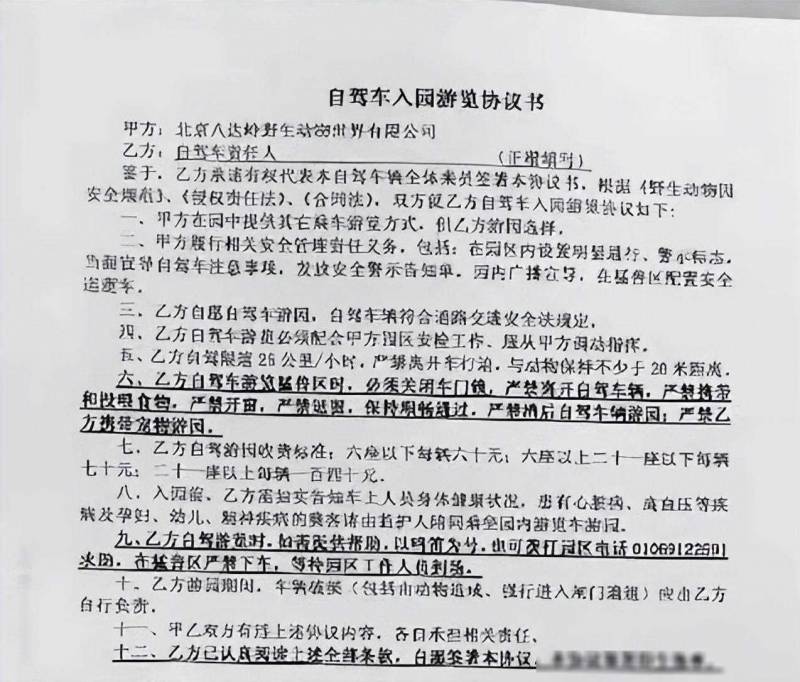 八达岭猛虎伤人后续，母女不听劝致悲剧，一家三口惨遭重创