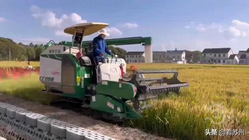 常熟辛庄退草还田，从甜酸苦辣中寻求农村振兴之道