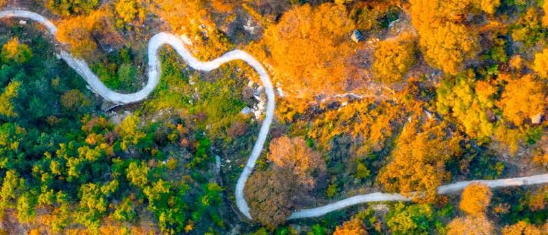 中国旅游报的微博，丝绸之路沿线国家旅游合作驶入快车道