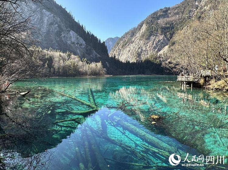 九寨沟国际旅游网的微博视频，揭秘中国九寨沟第十九届国际冰瀑旅游节盛况