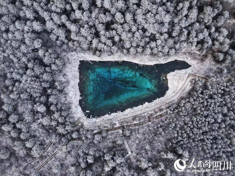 九寨沟国际旅游网的微博视频，揭秘中国九寨沟第十九届国际冰瀑旅游节盛况