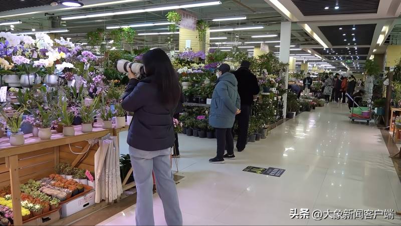 实探郑州花卉市场，商家降价抛售，市民抢购春节花卉