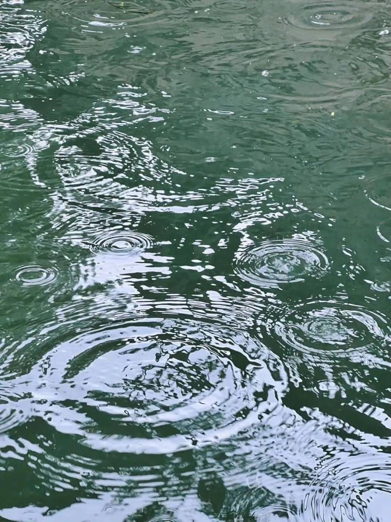 烟雨江南太仓，梦回明清古镇