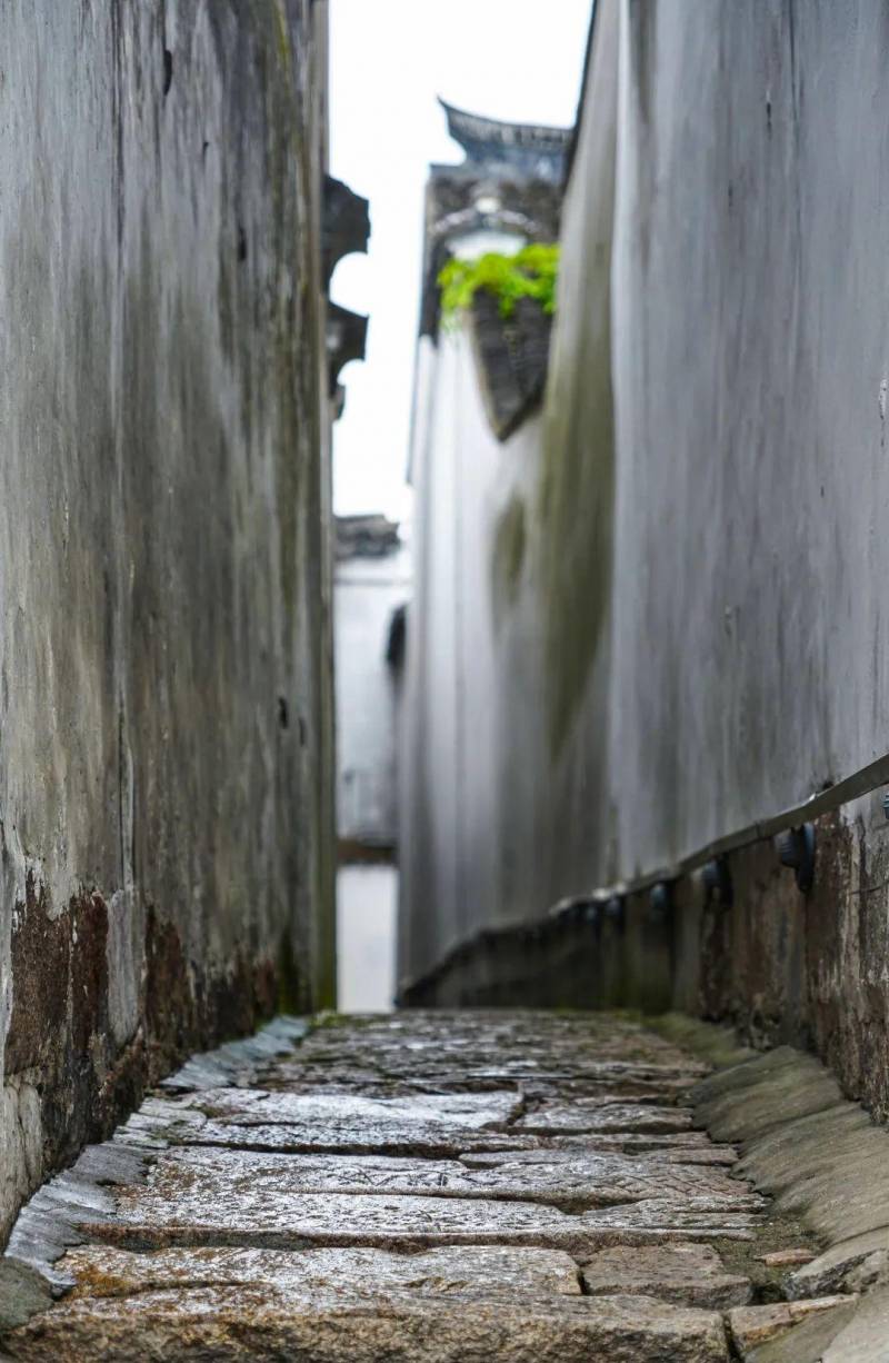 烟雨江南太仓，梦回明清古镇