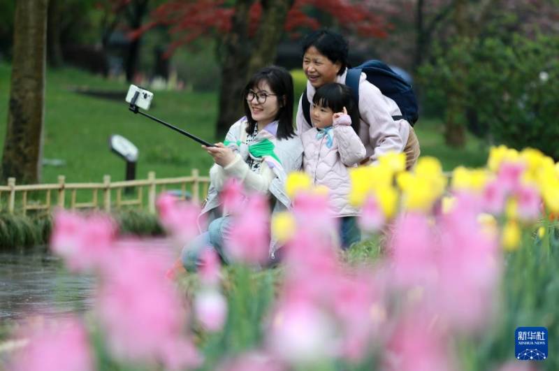 春意正浓 花开时节