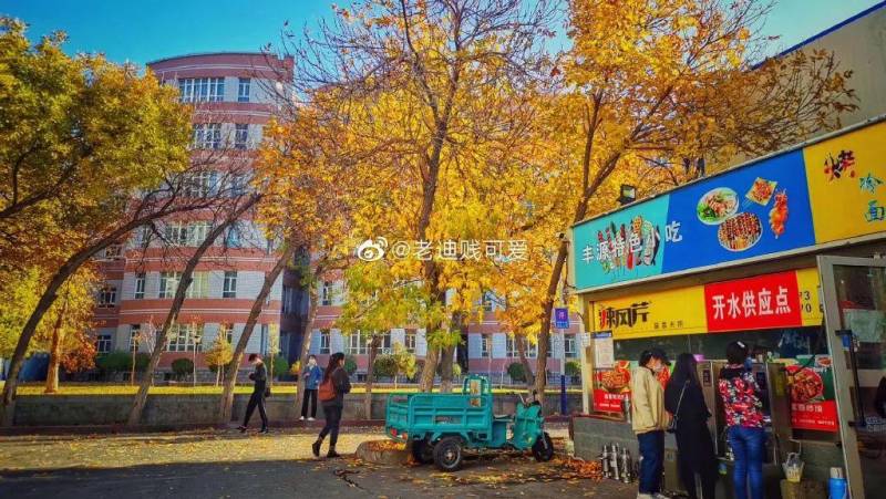 新疆大學的微博，校園生活精彩瞬間捕捉