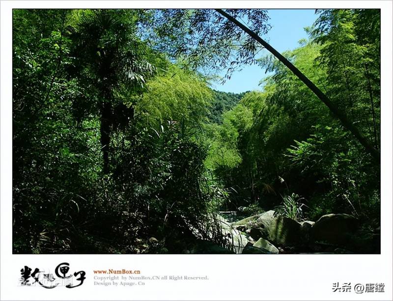 宁海野鹤湫旅游风景区，一日游遍山水道源休闲胜地