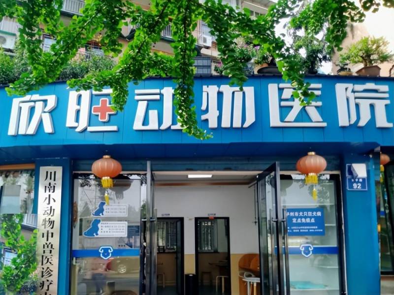 重庆市友好动物医院的微博，兽医师黄家雨 —— 动物医疗的温暖守护者