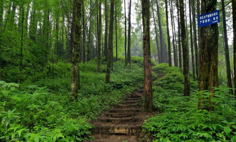 杭州周末好去处，盘点6个超治愈徒步景点，建议收藏