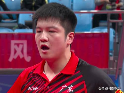樊振东4比0梁靖昆进决赛，小胖状态出色剑指冠军