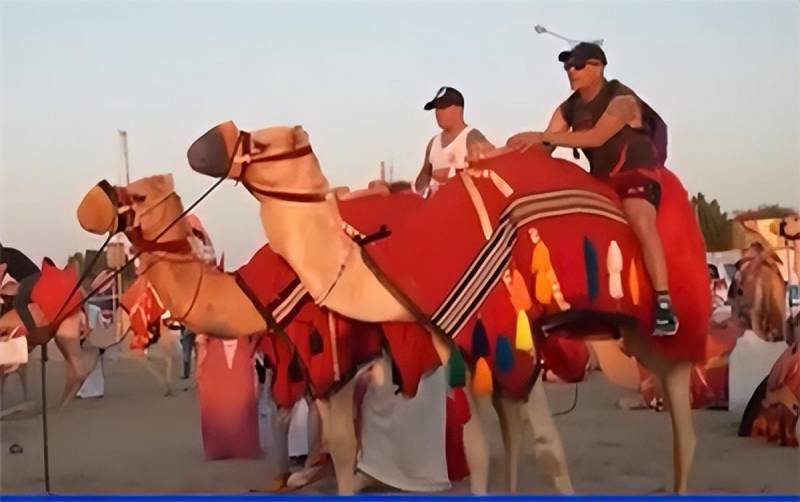 卡塔尔游客多到骆驼加班，世界杯效应引发旅游热潮